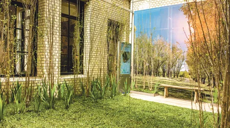 Ganadores Casa FOA 2013