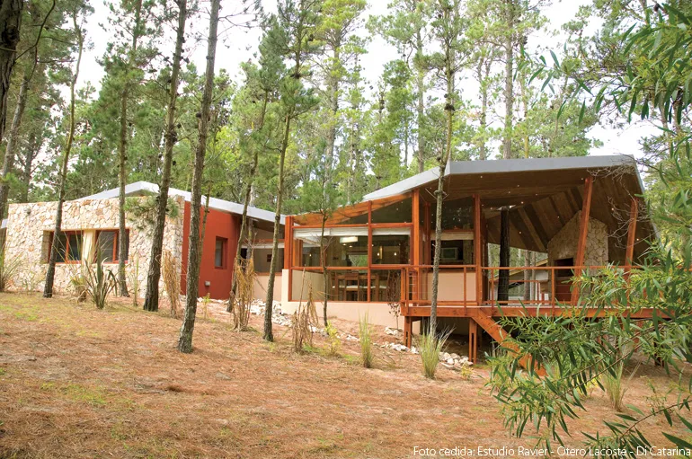 Lo técnico y lo artístico