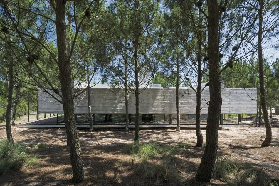 Habitar y potenciar los sentidos