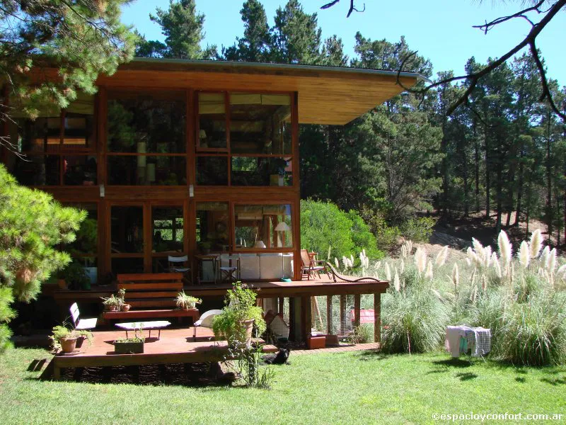 En el silencio del bosque