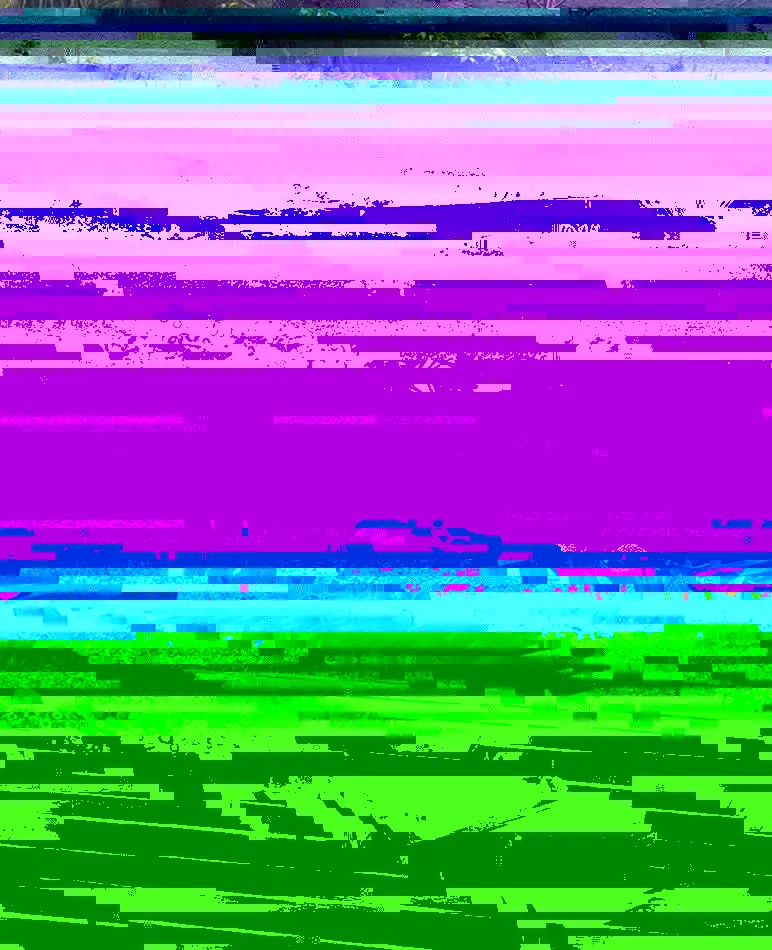 10 opciones para cultivar en casa