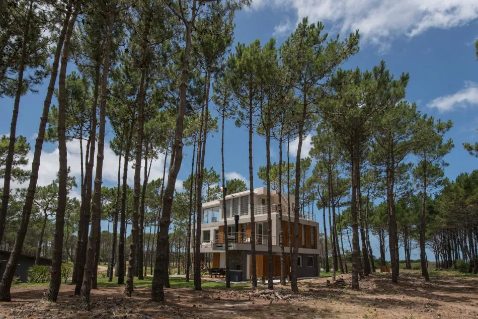 Entre el bosque y el mar