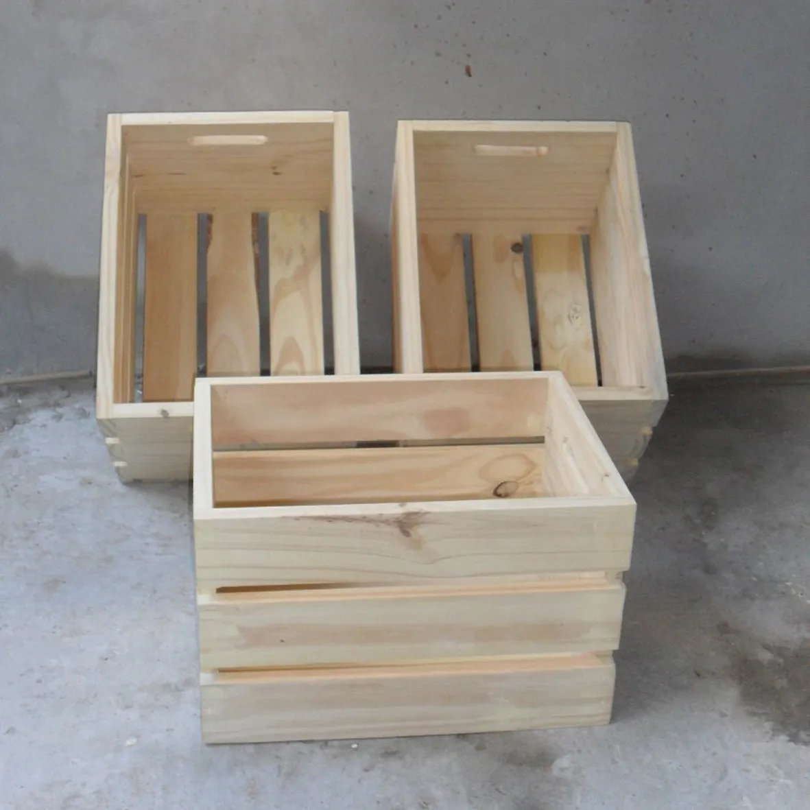 10 opciones para cultivar en casa