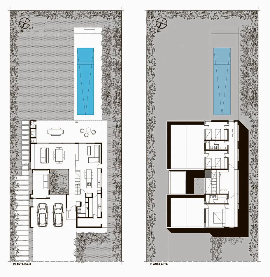 Simplificar el lenguaje