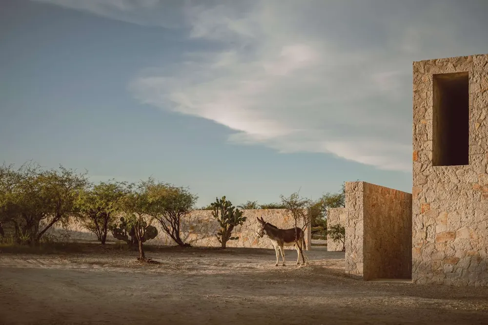 hwstudio_piedraytradicion_17