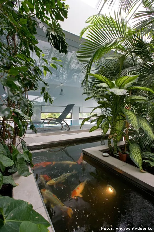 Naturalmente ultramoderna