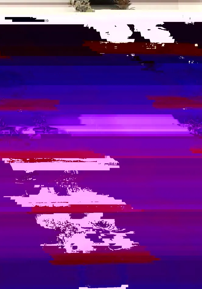 10 opciones para cultivar en casa