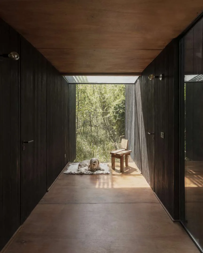 casa-libelula_20