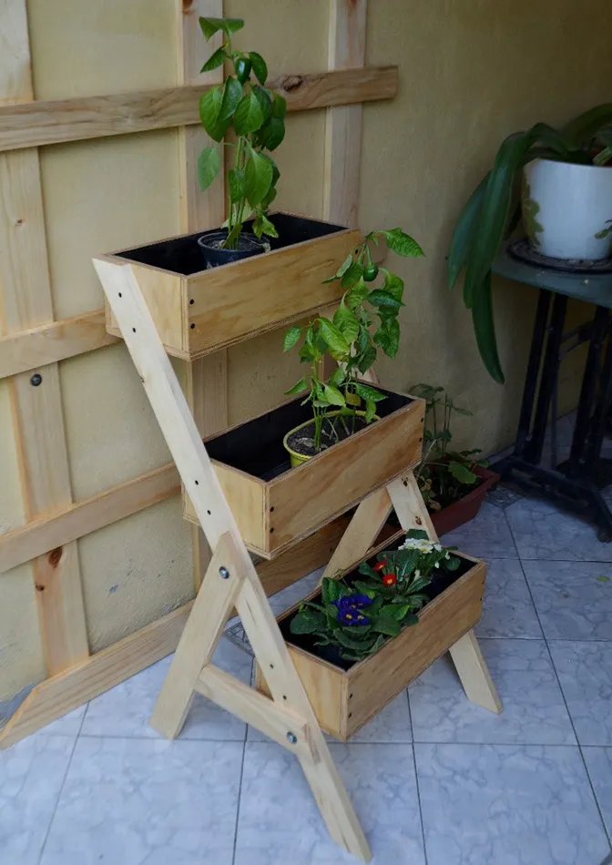 10 opciones para cultivar en casa