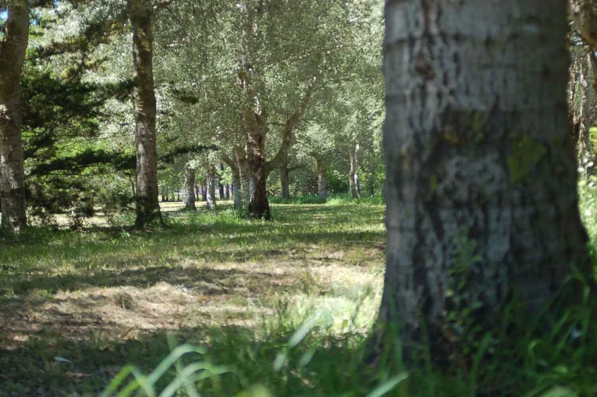 invertir en calidad de vida