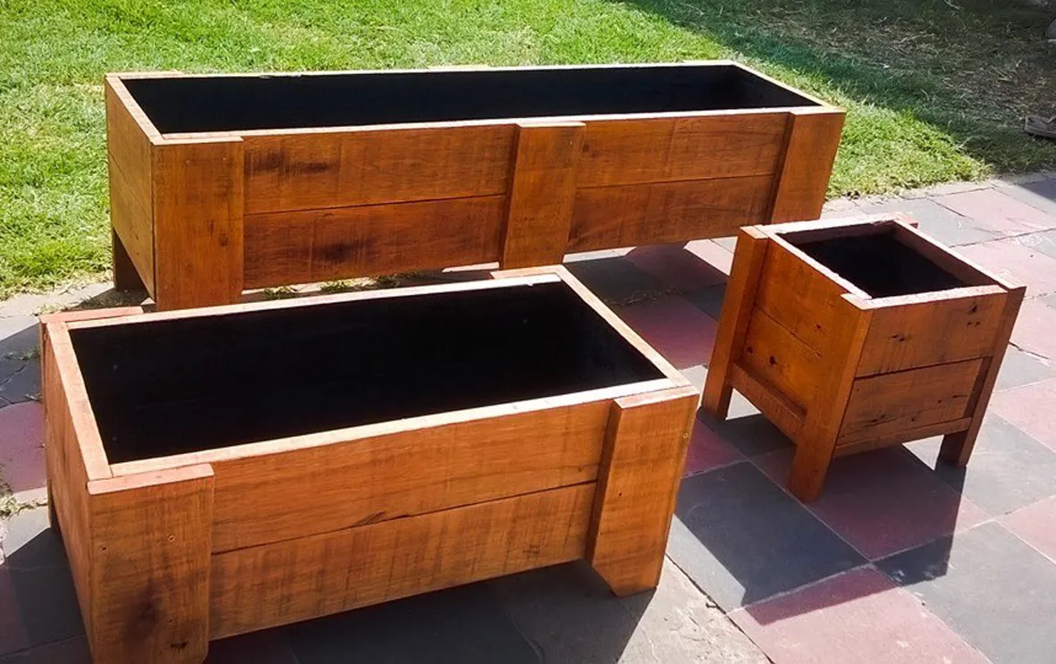 10 opciones para cultivar en casa