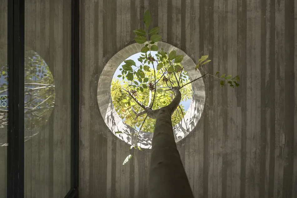 Vivir entre los árboles