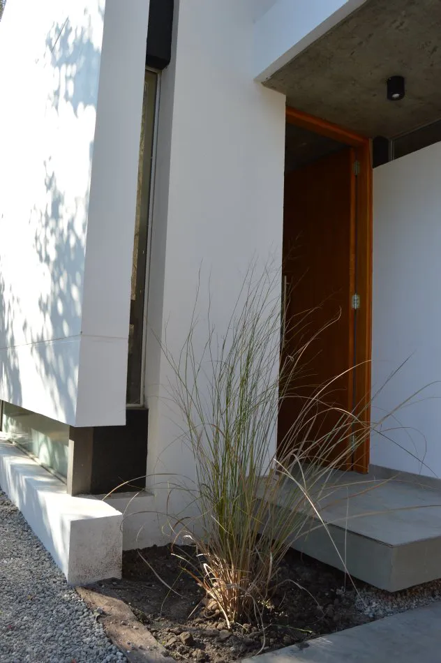 Independencia en conjunto