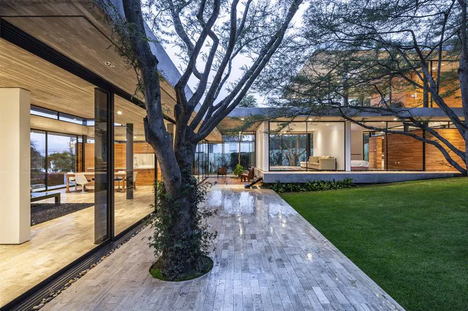 Vivir entre los árboles