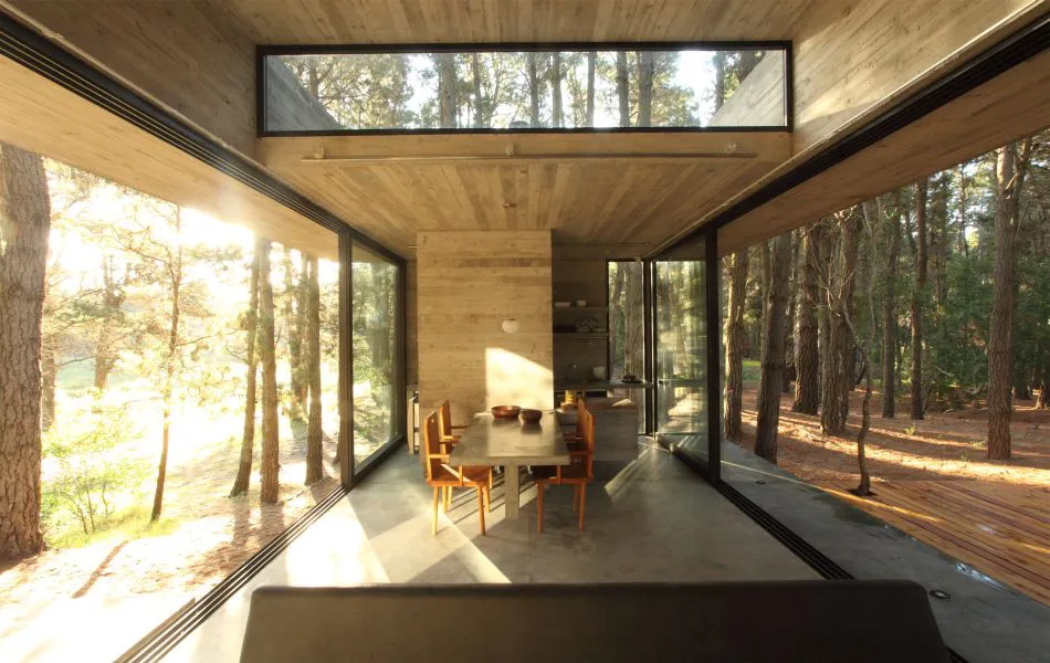 Diseñada en el bosque