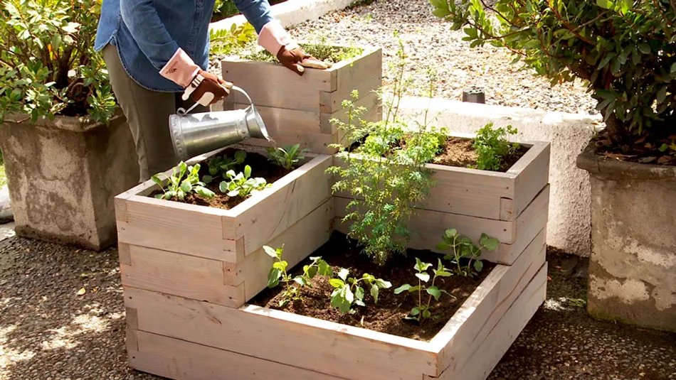 10 opciones para cultivar en casa