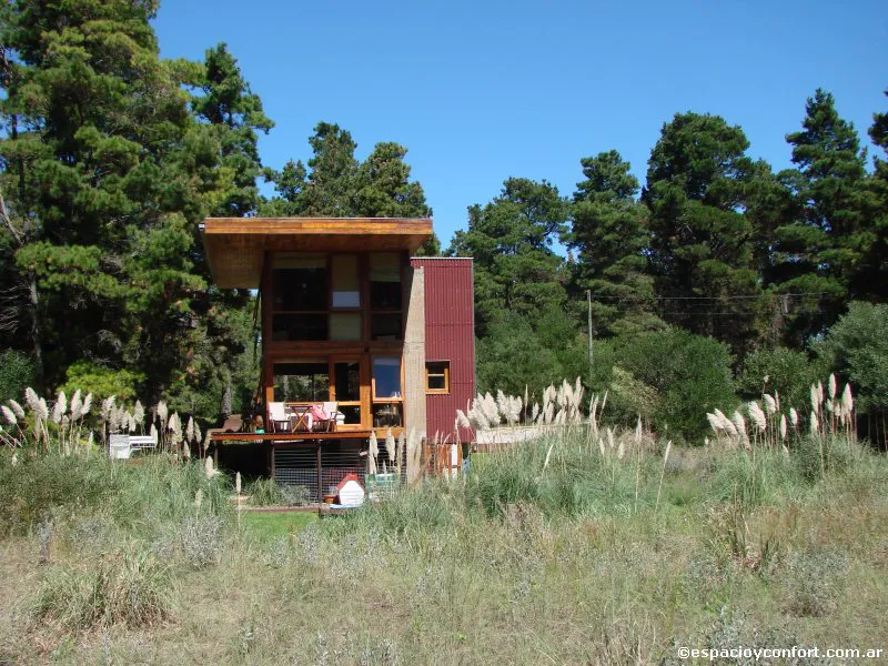 En el silencio del bosque