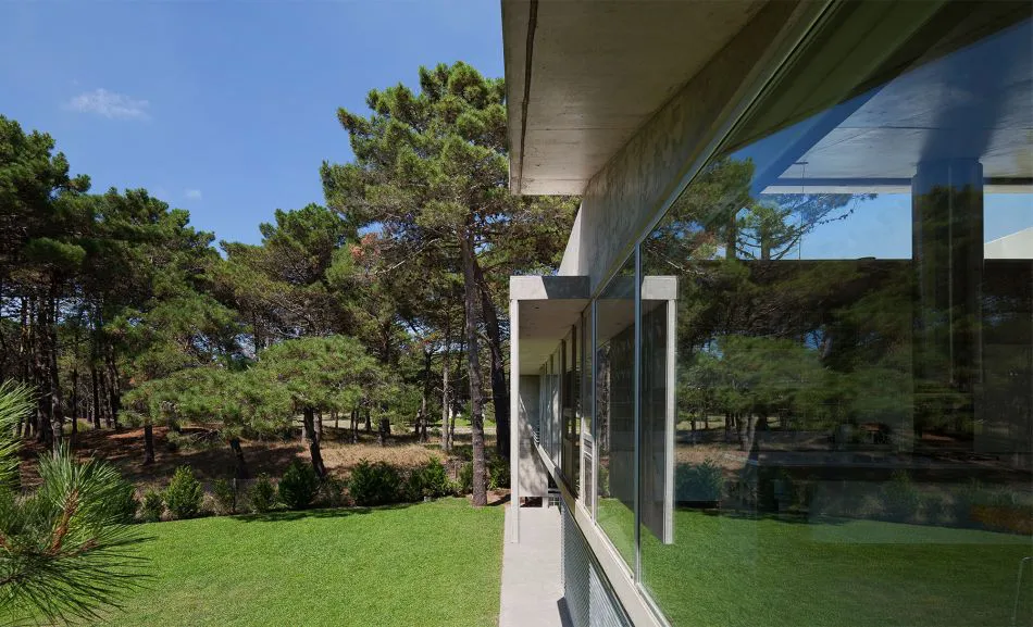 Para que la vida suceda