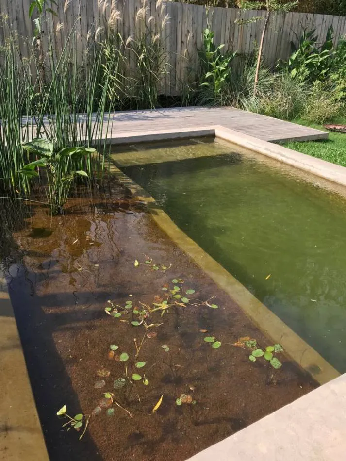 Diseño de biopiscinas