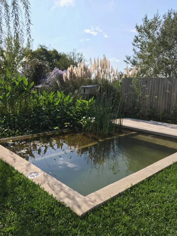 Diseño de biopiscinas