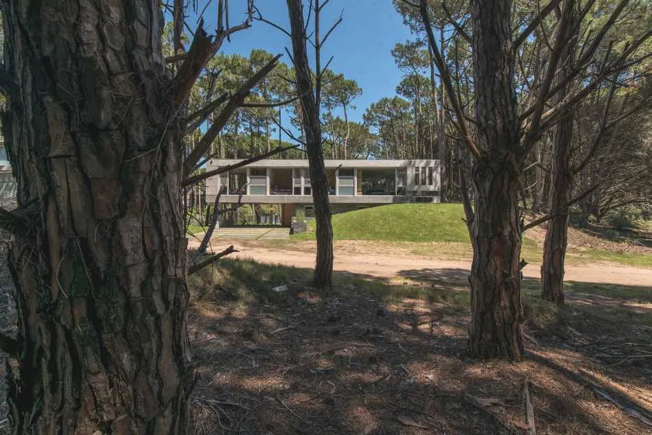 Lo sensorial y el contexto