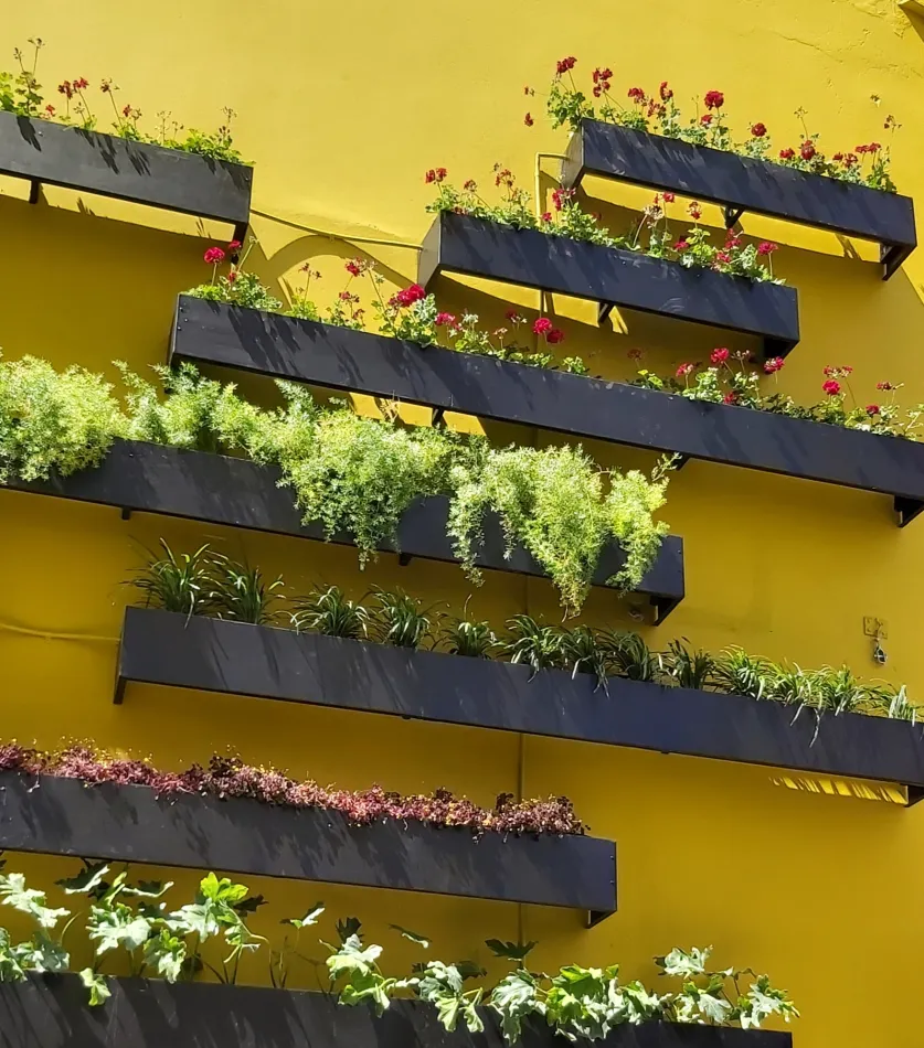 La ceremonia del té