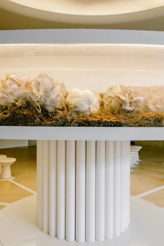 Casa Foa - Parque de la innovación