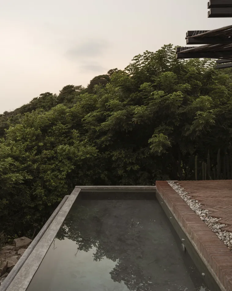 La casa de los árboles