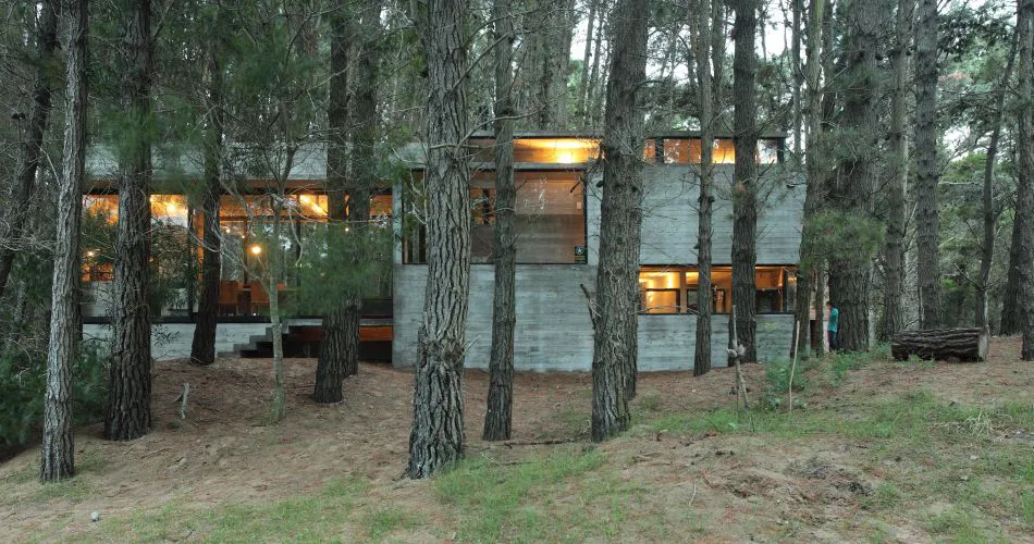 Diseñada en el bosque