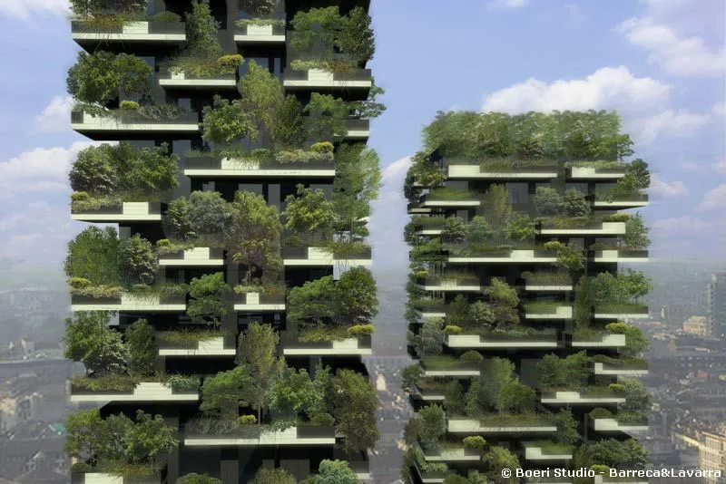 Un bosque en la ciudad
