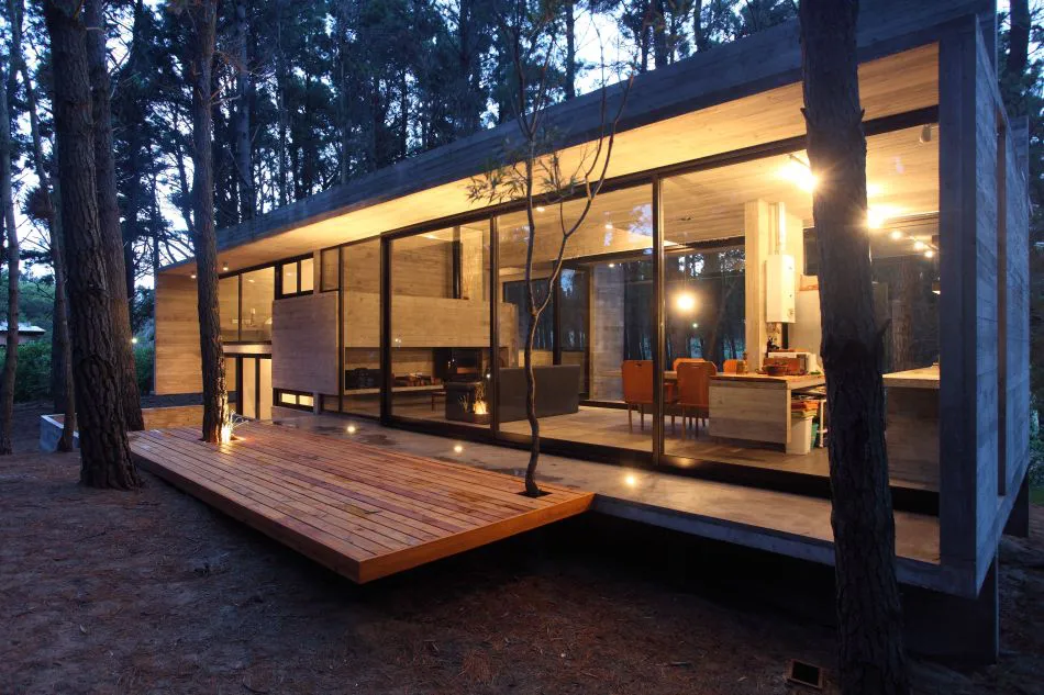 Diseñada en el bosque