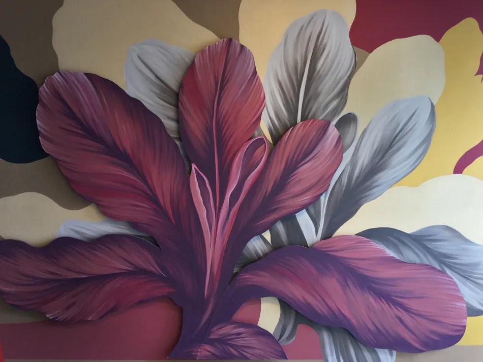 Experiencia Satélite Casa FOA