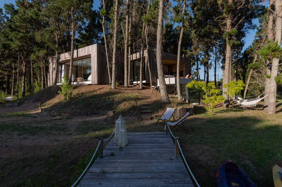 Fusión con la naturaleza