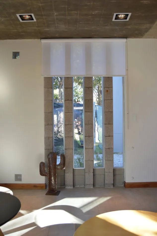 Independencia en conjunto