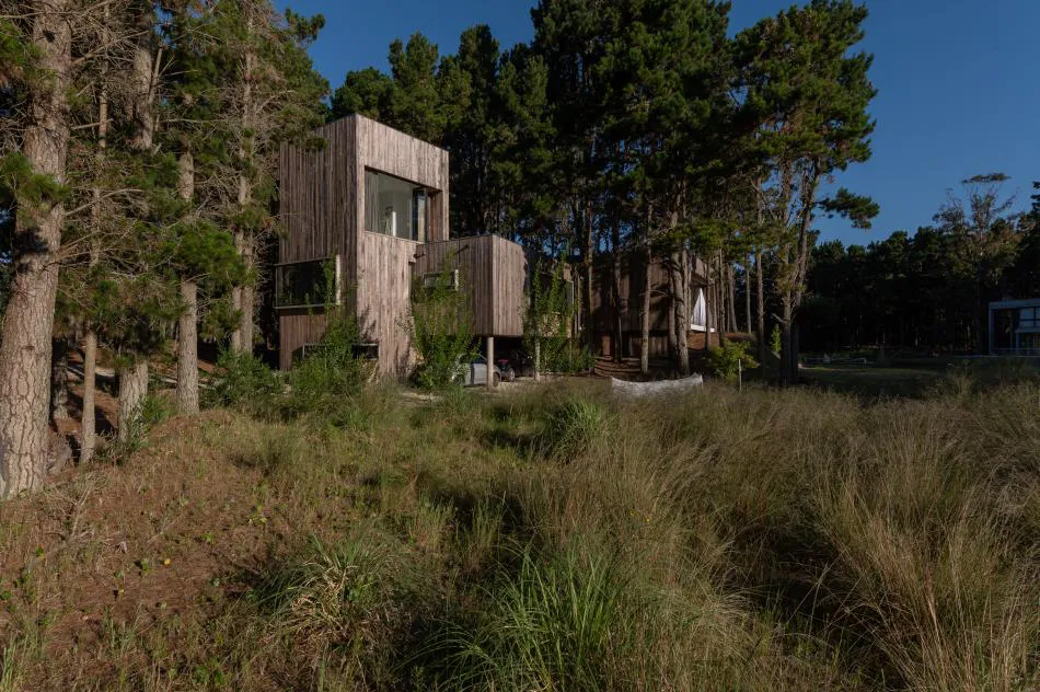 Fusión con la naturaleza