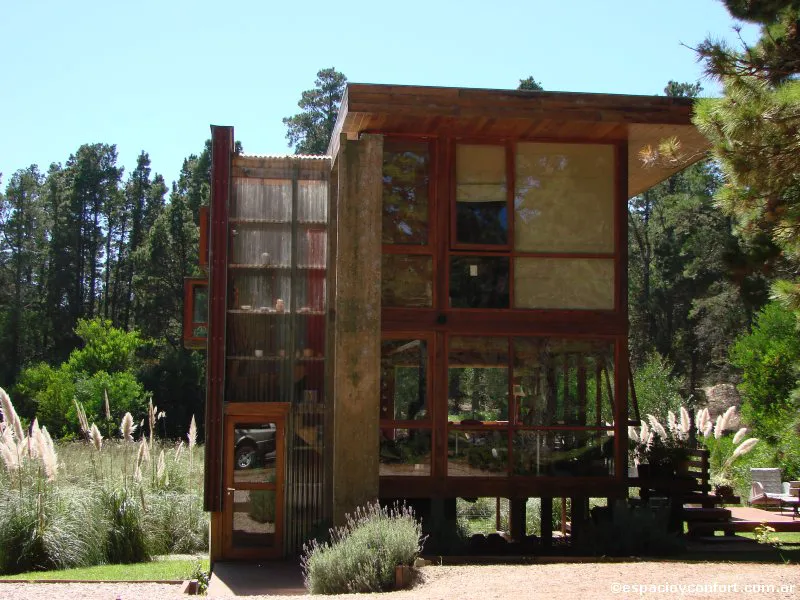 En el silencio del bosque