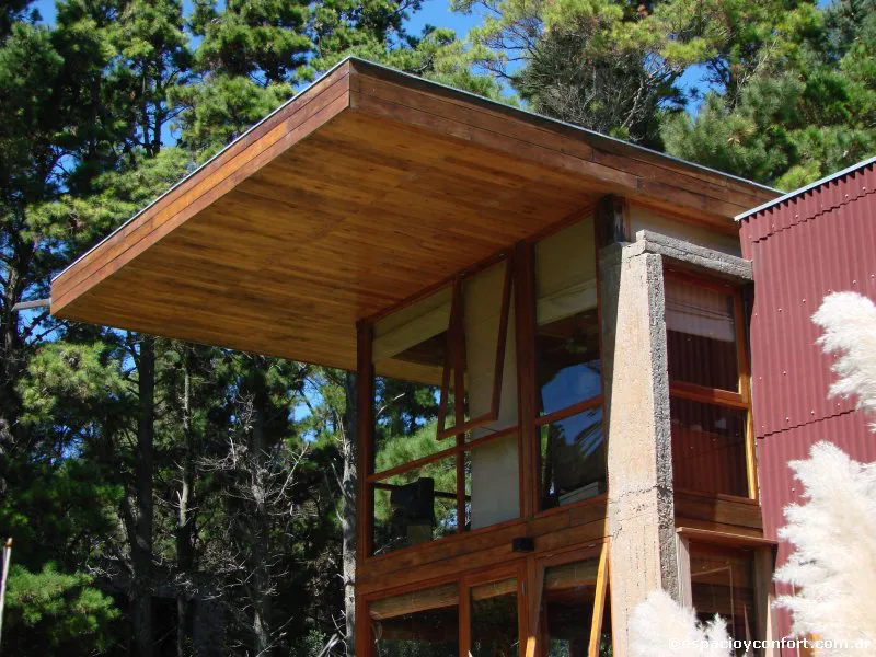 En el silencio del bosque