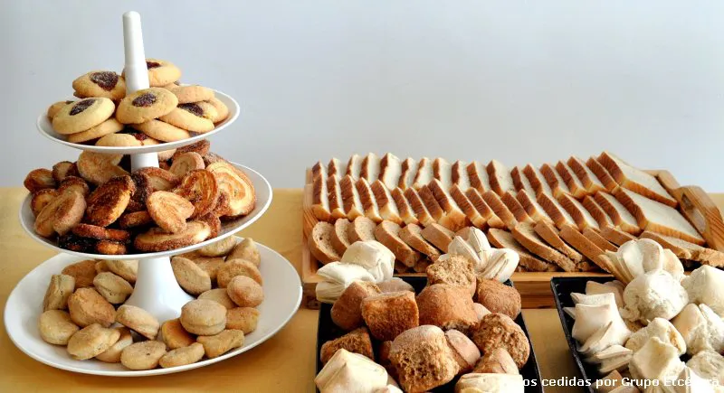 Propuesta de conjugar