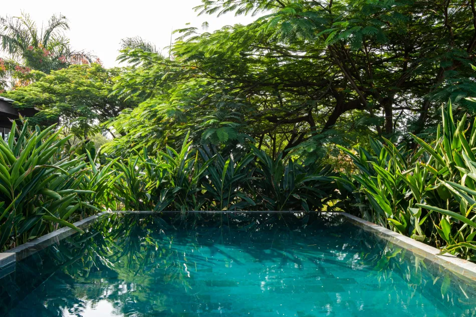 La casa de los árboles