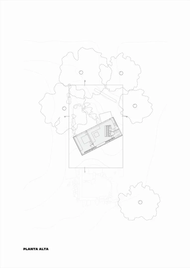 tam-plantas_02