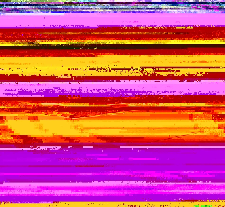 10 opciones para cultivar en casa