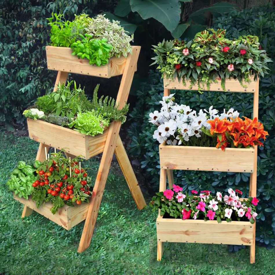 10 opciones para cultivar en casa