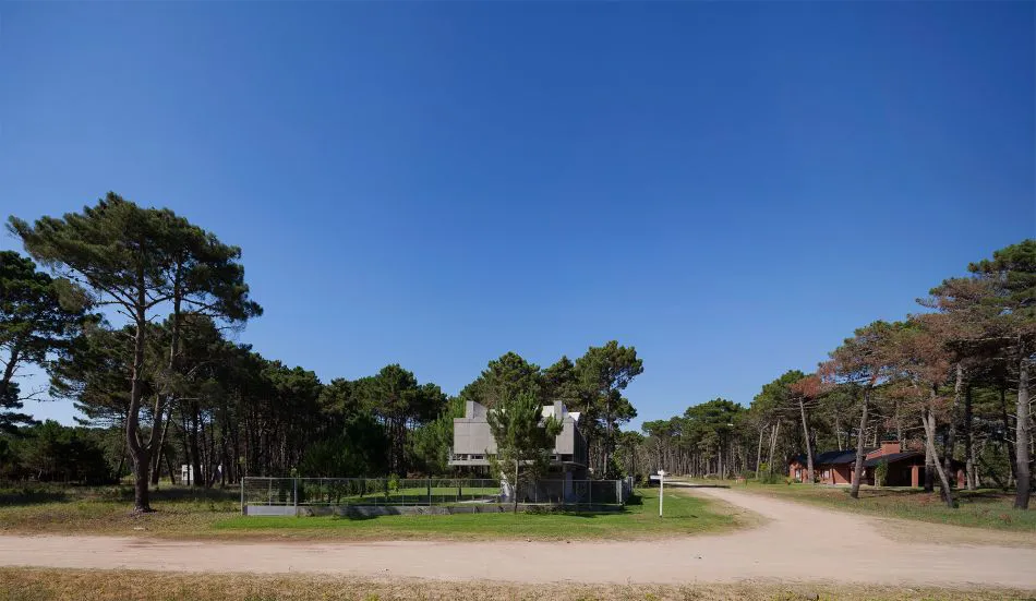 Para que la vida suceda