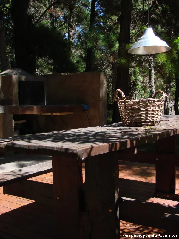 En el silencio del bosque