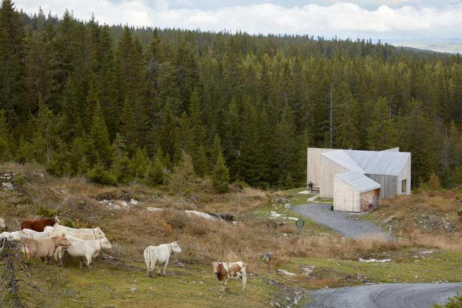 Reinterpretar la cabaña