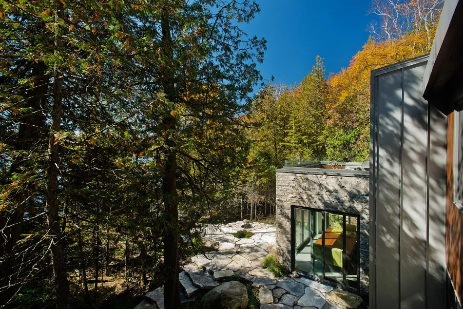 Una visión particular