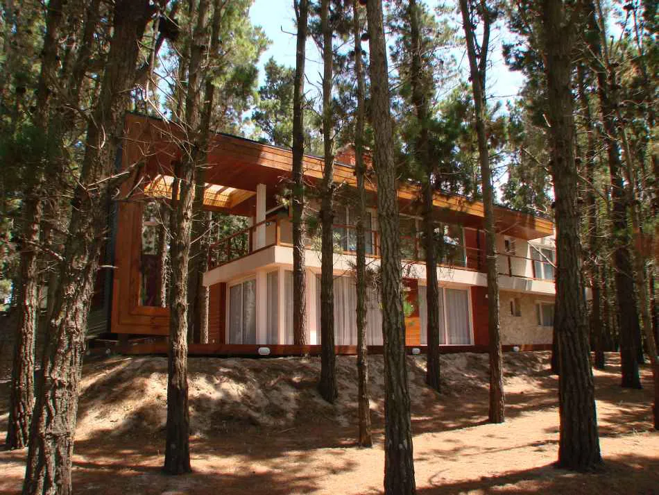 Casa entre pinos