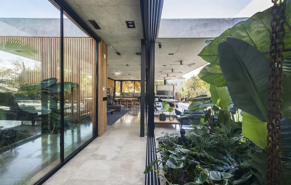 Profundidad y dinamismo