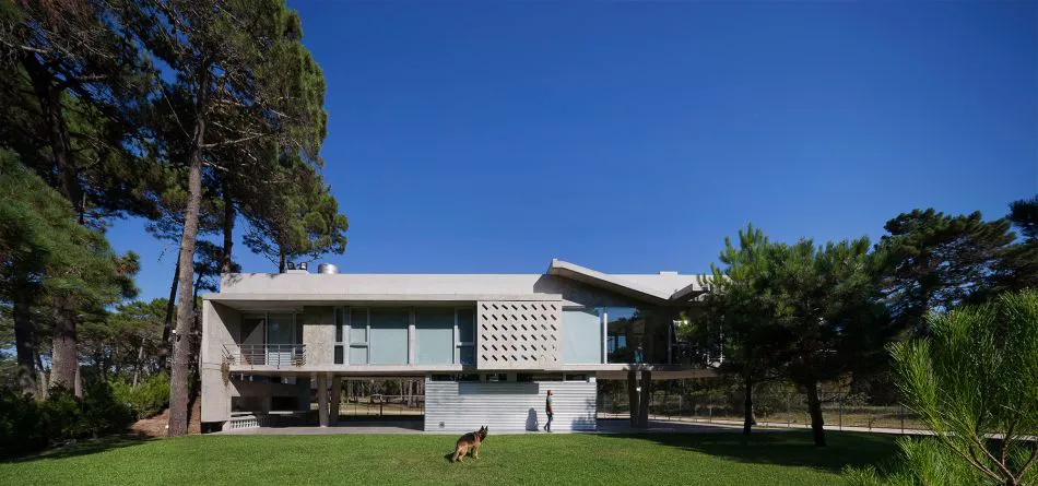 Para que la vida suceda