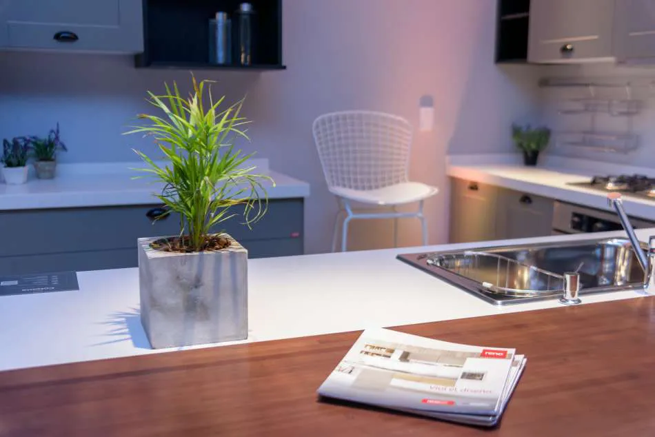 Inauguración y renovación